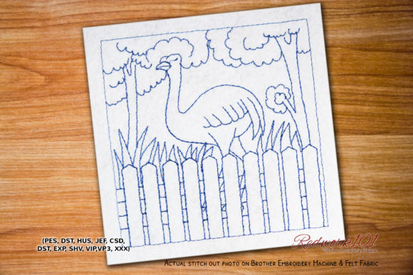 Ostrich Bird